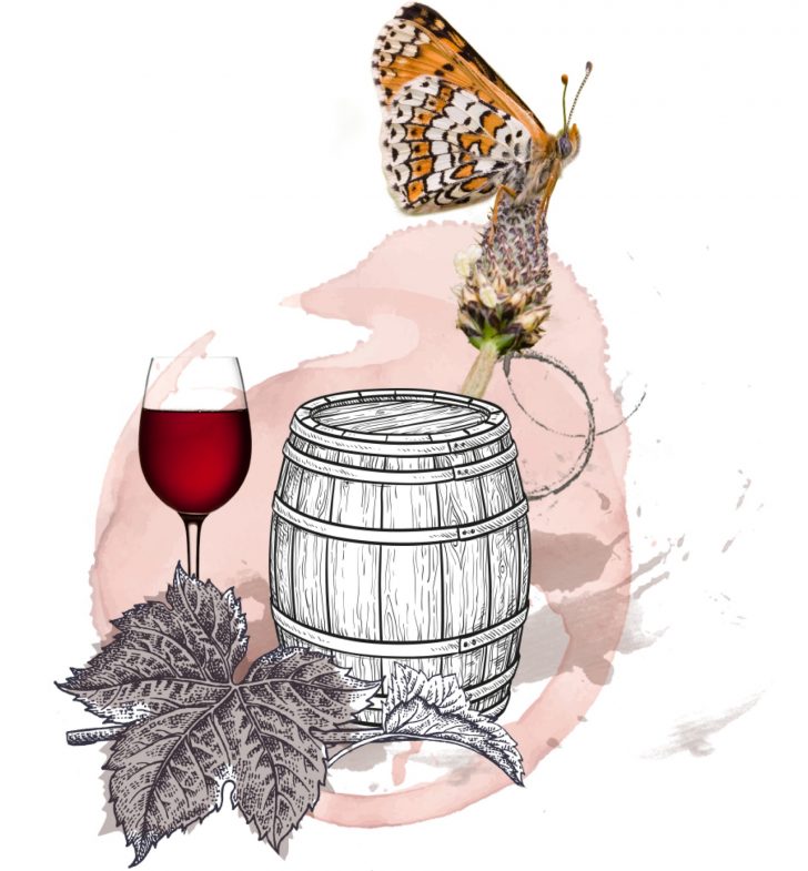 Winzergenossenschaft_Bötzingen_Rotwein Splash Rotwein Fass