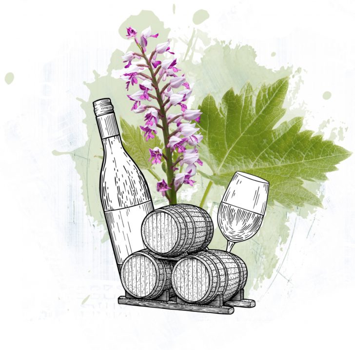 Winzergenossenschaft_Bötzingen_Weinfässer Splash WGB Flasche Weinfass