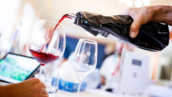 VINEA MONDIAL DES PINOTS