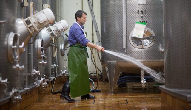 Vom Bäcker zum Kellermeister – Winzergenossenschaft Bötzingen